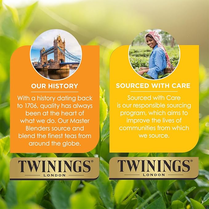 Twinings Spiced Apple Chai Black Tea Individually Wrapped Bags, 20 Count (Pack of 1), Sweet, Savoury Spices, Caffeinated, Enjoy Hot or Iced, 20 Teabags