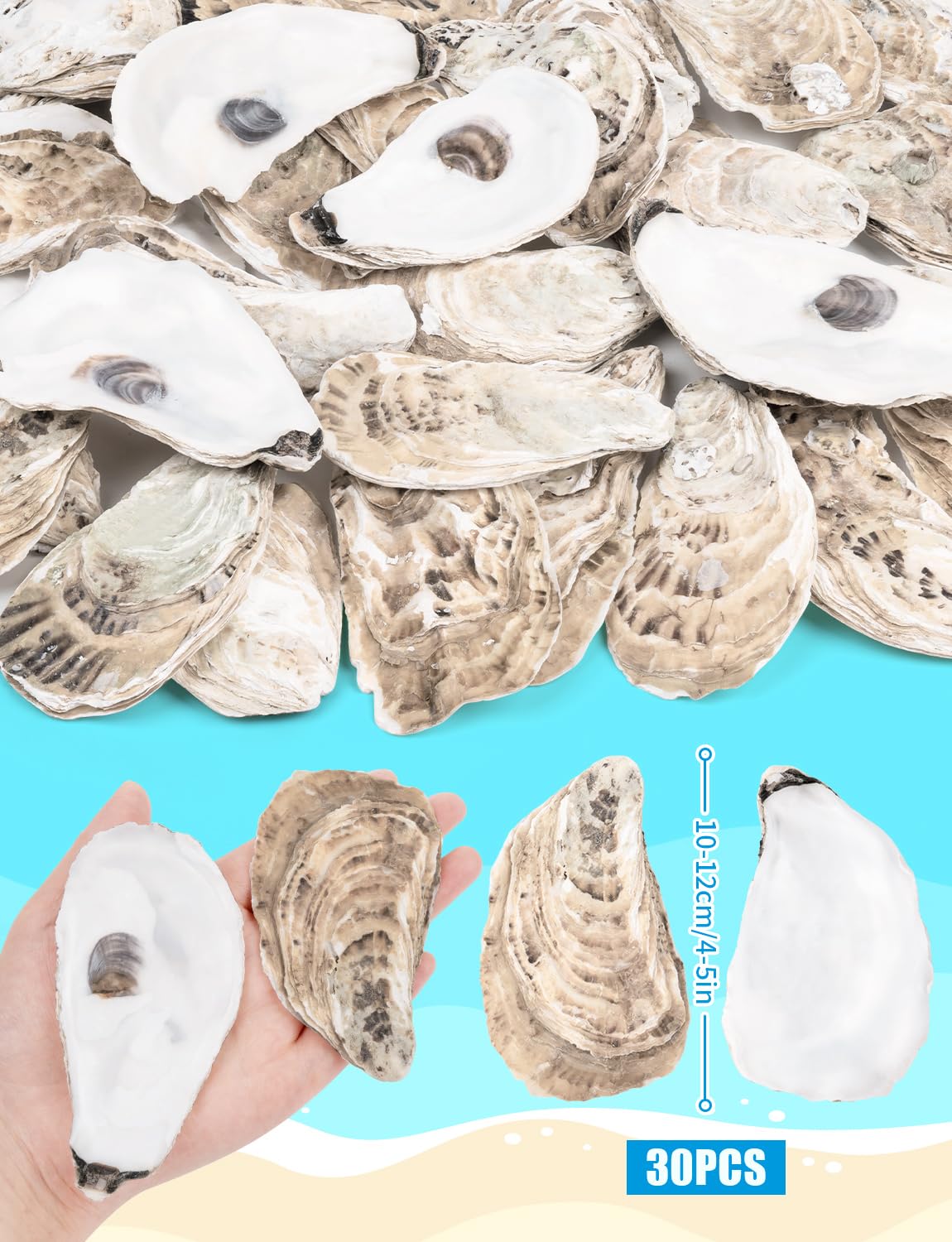 TCSYLSC 30 PCS Flat Oyster Shells 4-5” Natural Bulk Concave Oyster Shells for Crafts Home Vase Filler DIY Painting Theme Party Coastal Shell Art Supplies