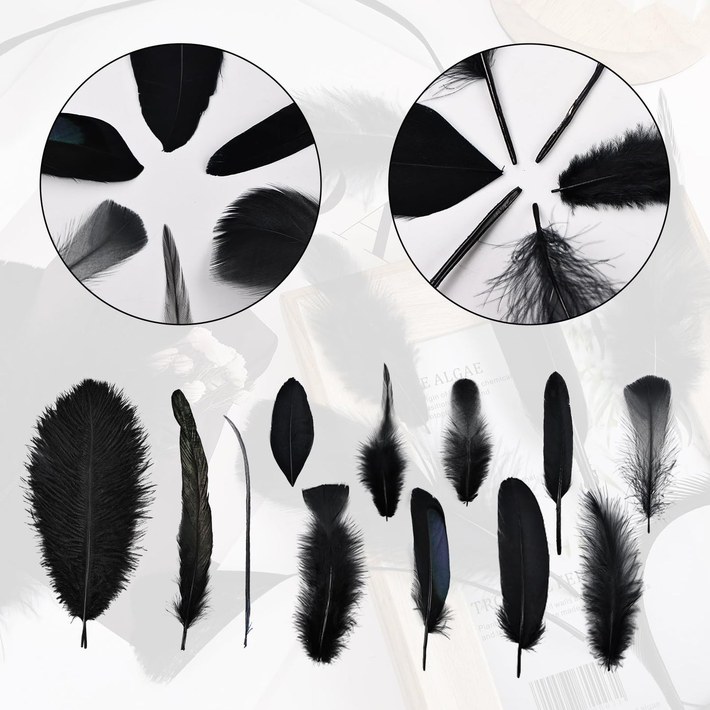 Daieeparty 360pcs Small Pheasant Feathers 12 Style Mixed Feathers Natural Feathers for Crafting Wedding Dream Catcher Hats Decoration