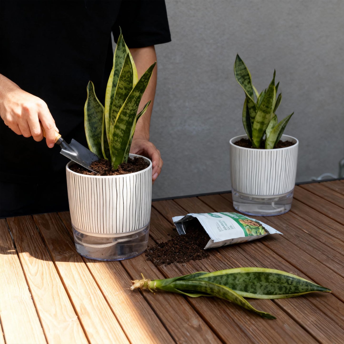 CWYEYE 3 Pack Self Watering Pots Set, 5.5 Inch Self Watering Pots for Indoor Plants, Planter Pot with Wick Rope and Reservoir for African Violet, Spider Plant, Orchid