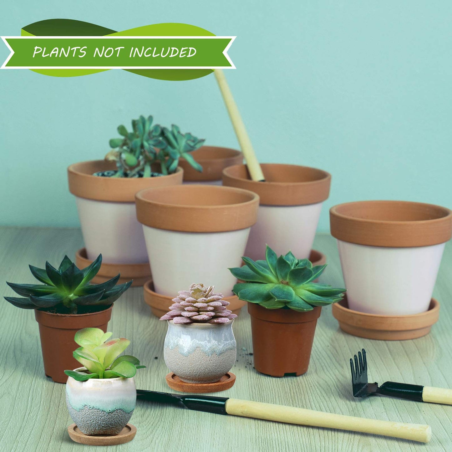 BBTO 6 Set Mini Succulent Pots Bulk with Drainage and Bamboo Tray 2.9 x 3.1 Inch Small Cute Ceramic Succulent Planter Pot Garden Glaze Container Ideal Present for Cactus Office Home Decoration Gift