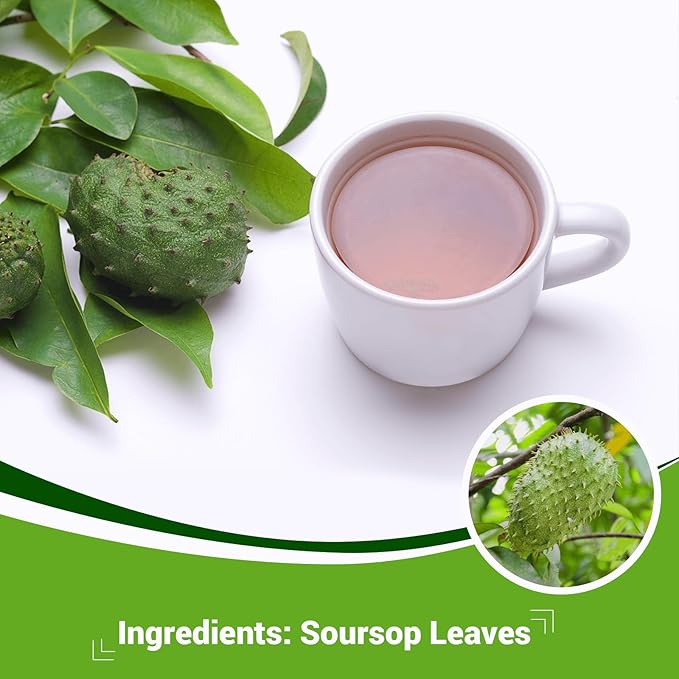 Soursop Graviola Leaf Tea Bags - Caffeine & Sugar Free, 20 Teabags