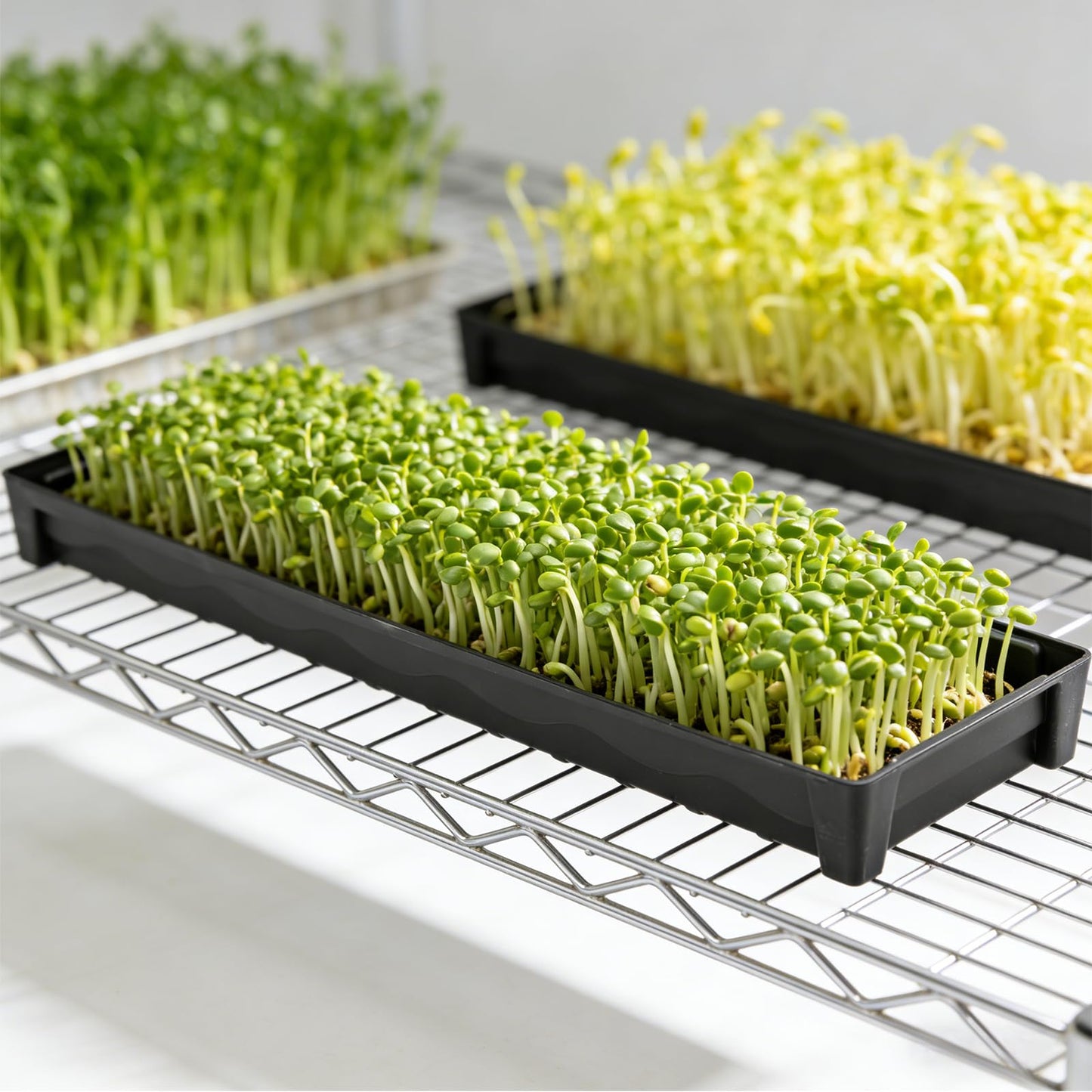 BKIELLT 5 Pack Plant Saucer Growing Tray, Rectangular Windowsill Plant Pot Trays with Removable Drainage Hole, Seed Starter Tray Plastic Plant Drainage Saucers for 4 inch Flower Seedling Pots