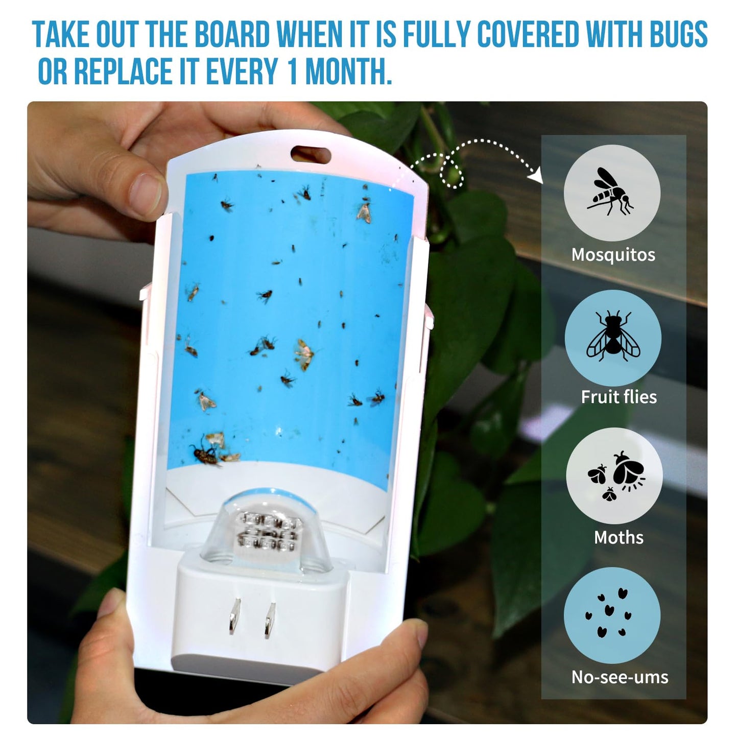 OSVDO 2-Pack Indoor Flying Insect Traps with 8 Refills, UV Light Bug Catcher for Flies, Gnats, Moths, 30-Day Sticky Pads, Silent Fly Catcher for Home