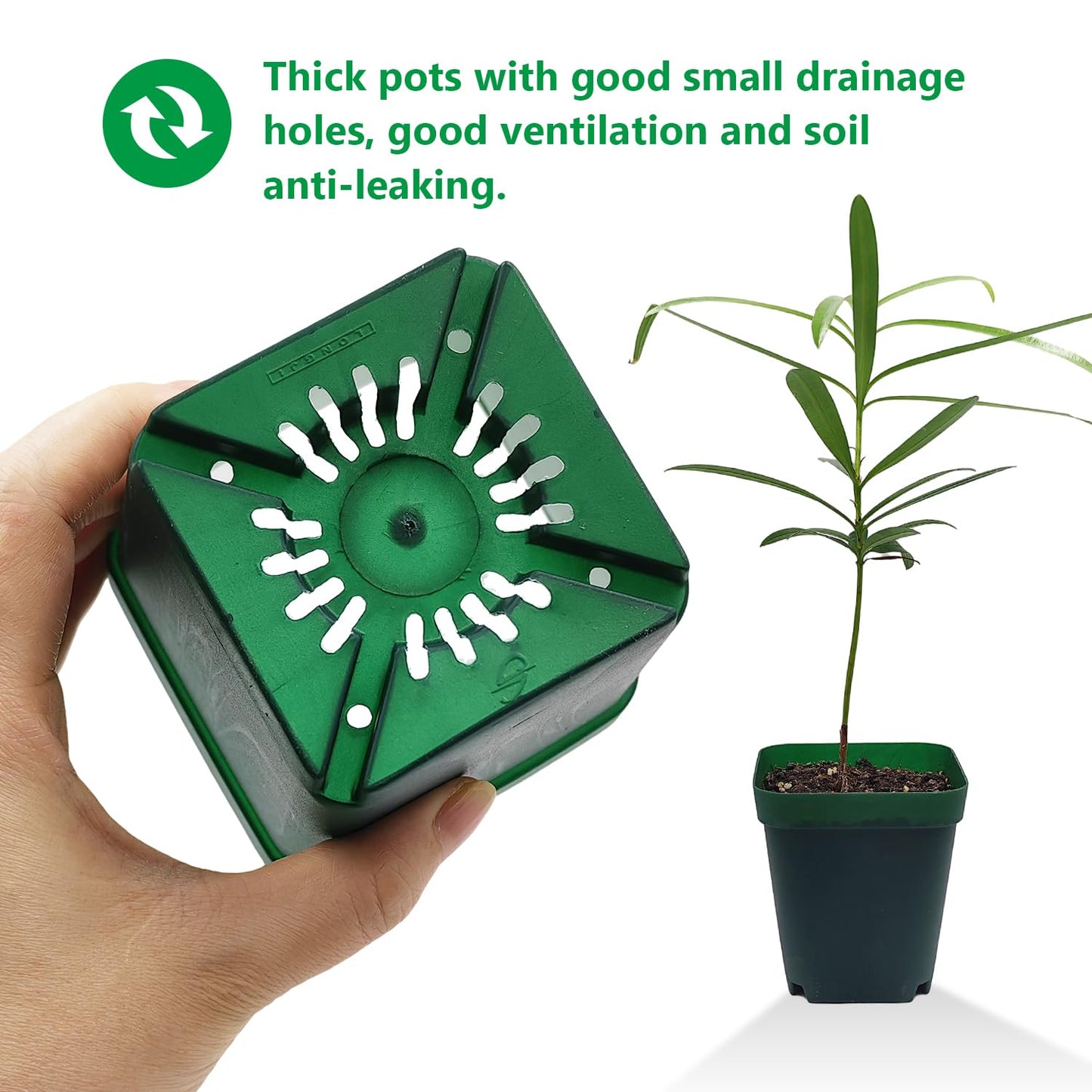 RooTrimmer Square Nursery Seedling Pot 3.5 Inches 90 Pcs, Small Nursery Pot Plastic Thick and Sturdy Seed Start Germination Pot for Plant Propagation and Seeding(Green,3.54 Inches, 90Pcs)