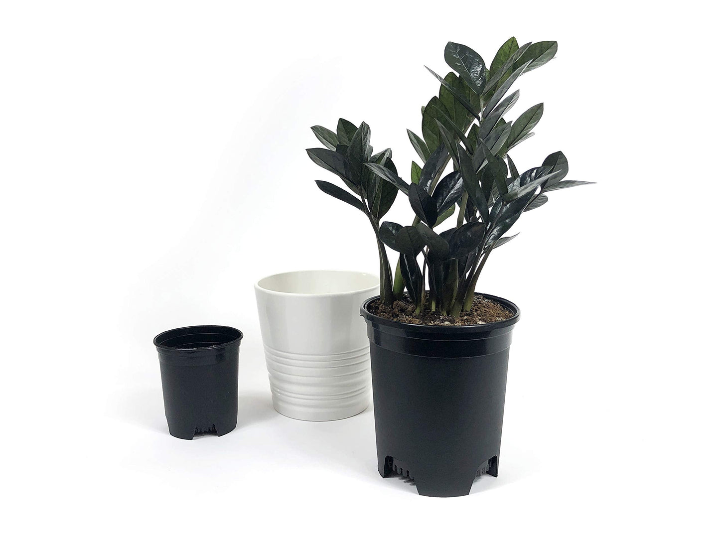 10 Pack Plastic Black Plant Pots Nursery Gardening Planters 4 in to 7.5 Inch Small Medium Plants 0.25 0.35 0.5 1 1.5 Gallon for Indoor and Outdoor Plants