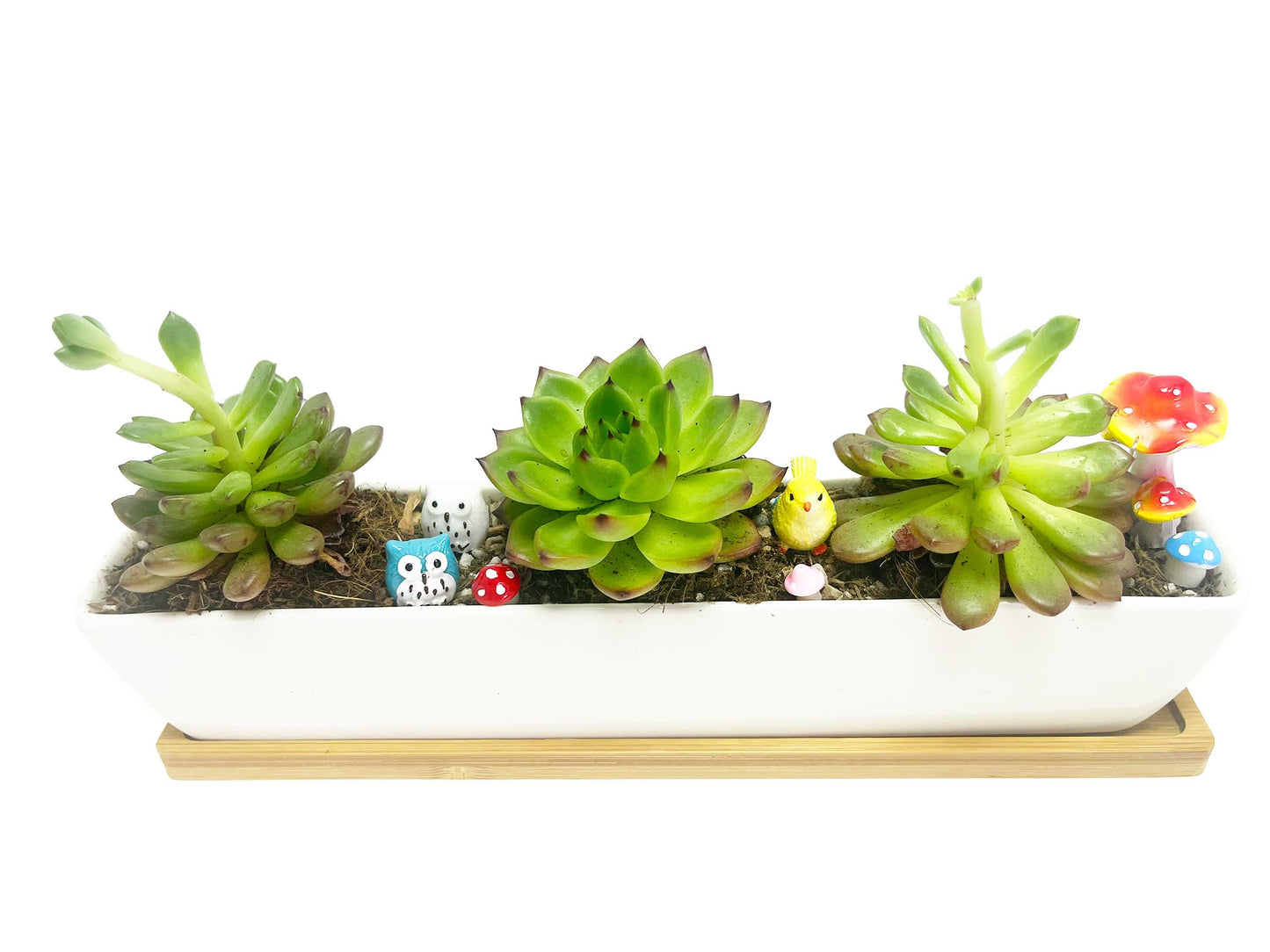 WISH HALLY WOOD White Ceramic Succulent Planter Pots,2 Set of 11inch Long Rectangle Flower Plant Containers with Bamboo Saucers.