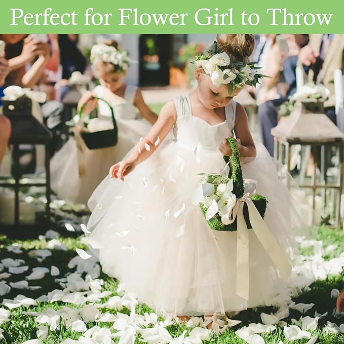 1000+ PCS Real White Rose Petals, 7.76oz (220g) Preserved White Flower Petal for Wedding Flower Girl, Dried Flower Petal for Babyshower Bridal Party Aisle Table Scatter Decor