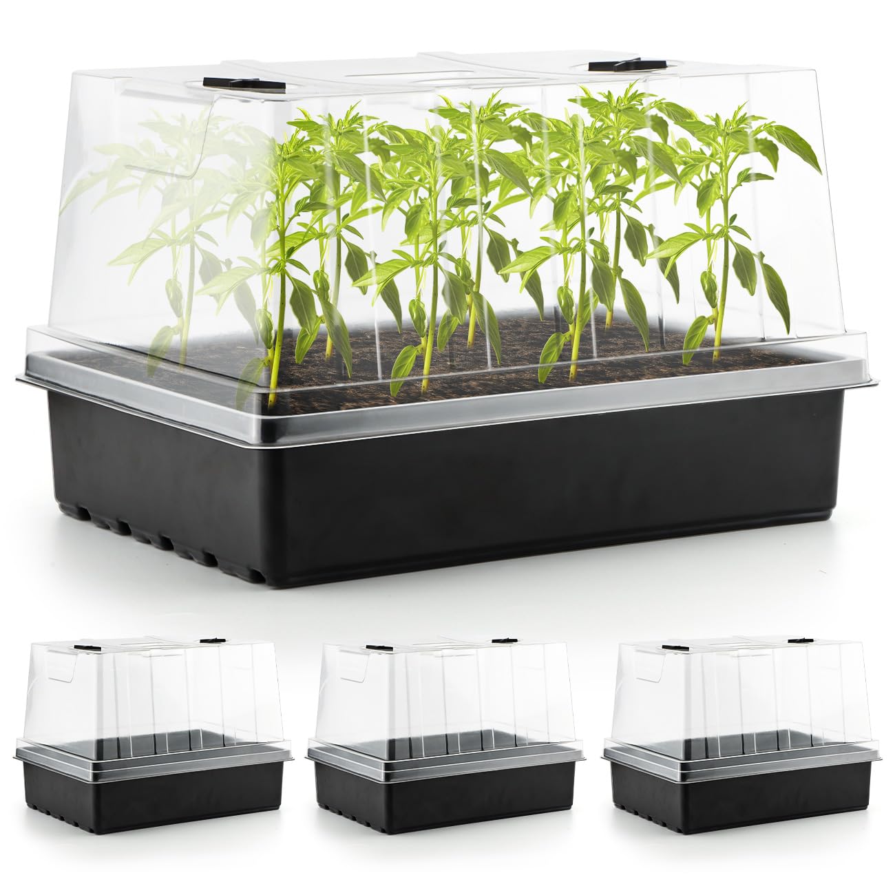 RooTrimmer 4-Pack Seed Starter Trays with 5'' Tall Humidity Domes – Reusable Plant Germination Kit for Microgreens, Herbs & Indoor Gardening | Clear Vented Lids, Fast Seedling Growth & Durable Design