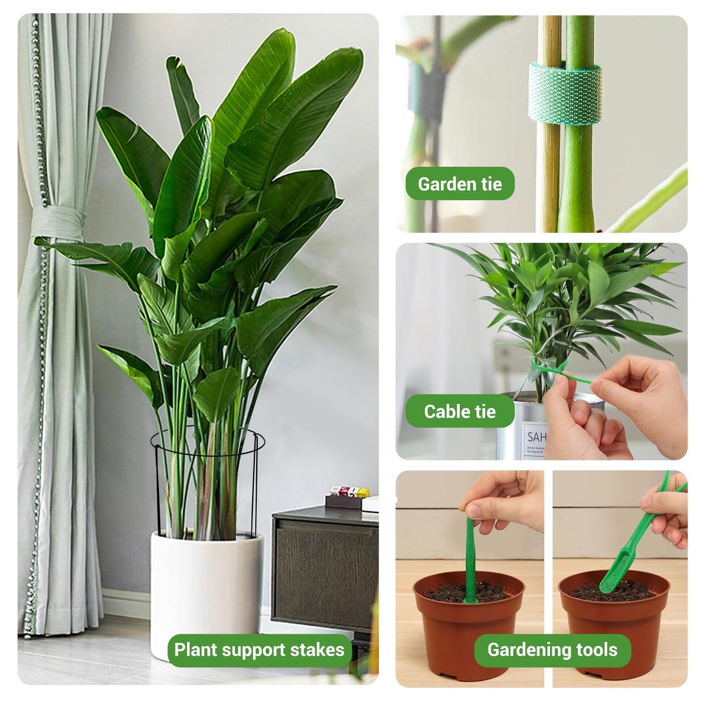 Kikhope Plant Support Stakes, 8 Pack Metal Garden Stakes Plant Cage, Half Round Peony Support Cage, Border Support, Plant Support Rings for Outdoor Indoor Plants, Vegetable, Flowers (9.8" W x 15.7" H)