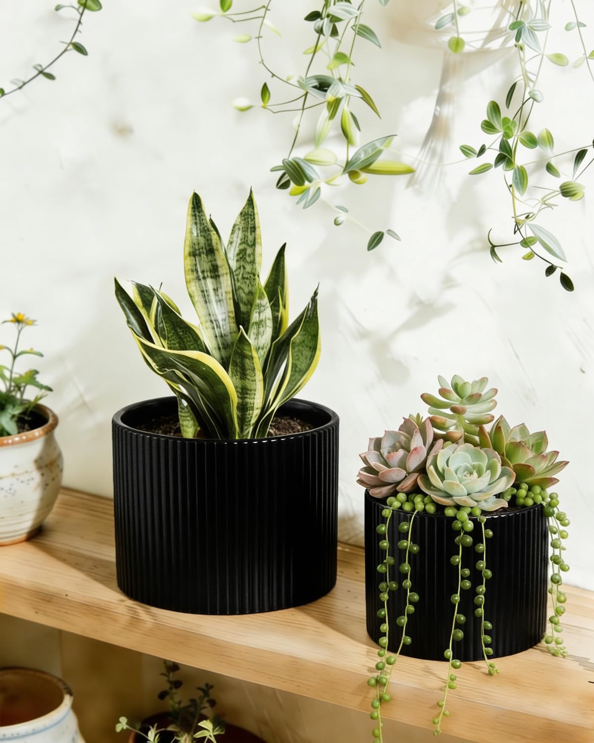 Swkien Matte Black Ceramic Plant Pots, 8.1 + 6 Inch Planters for Indoor Plants, Modern Flower Pots with Drainage, Two-Sizes Set