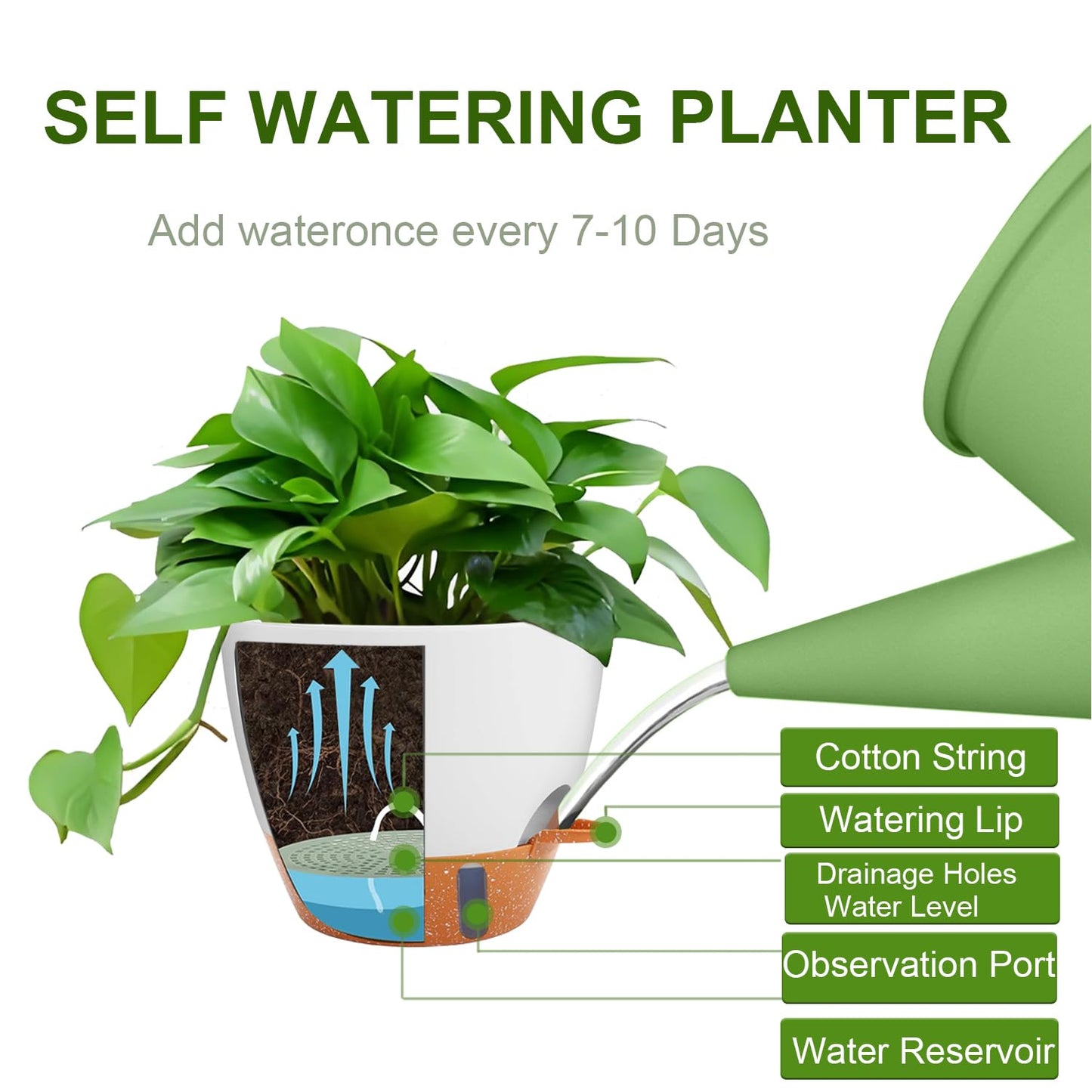 Heybe 3 Pack Self Watering Hanging Planters with Swivel Hanging Chains 20 Inches, 10/9/8 Inch Pots for Indoor Outdoor Plants, White