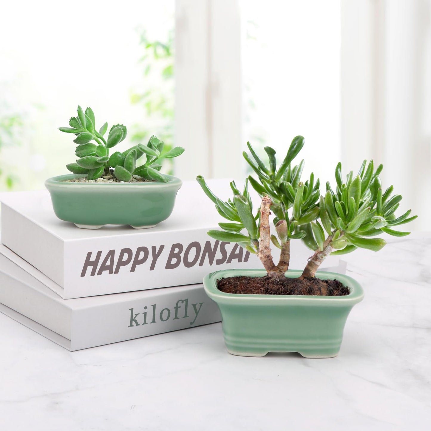 Bonsai Planter Succulent 3.7-3.9" (9-10cm) Mini Green Pots Value Set of 2