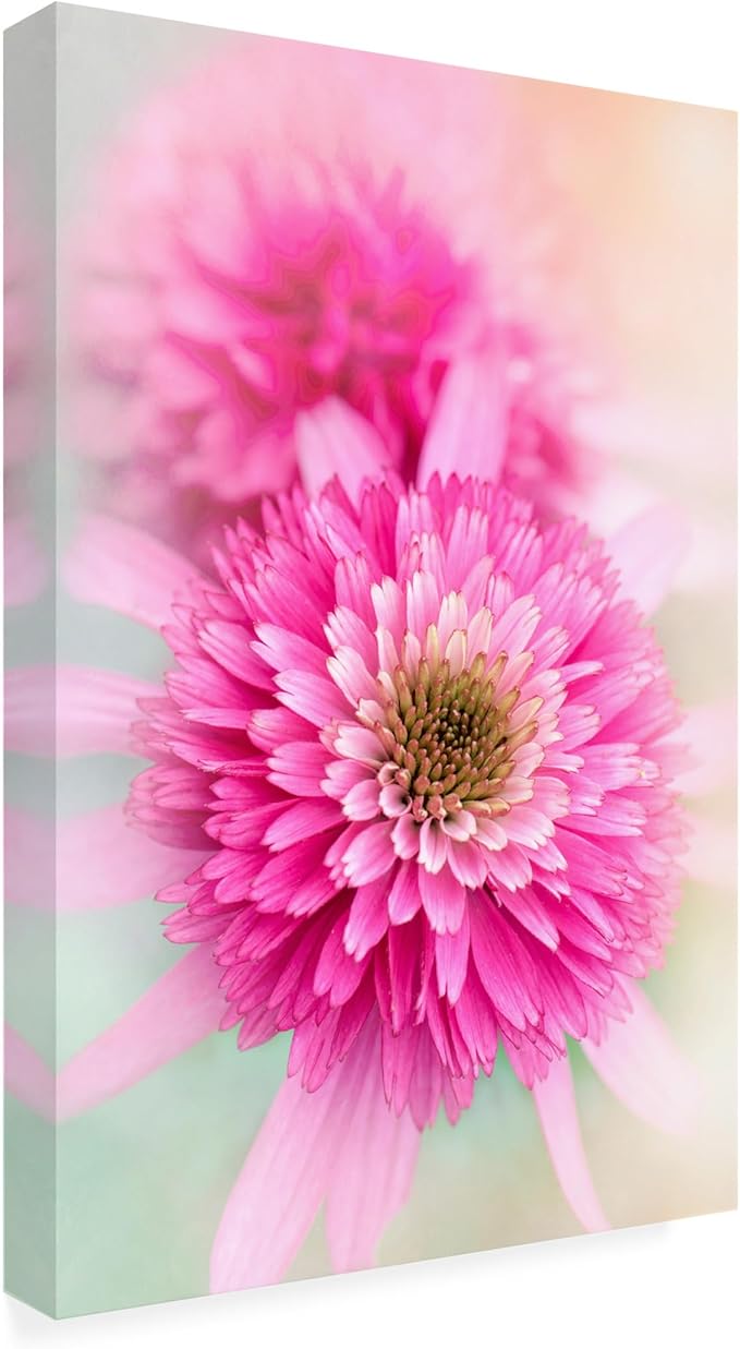 Trademark Fine Art Canvas Wall Art - Jacky Parker 'Summer Spirit' Wall Art for Living Room, Bedroom, or Office Décor 30 x 47 Inches
