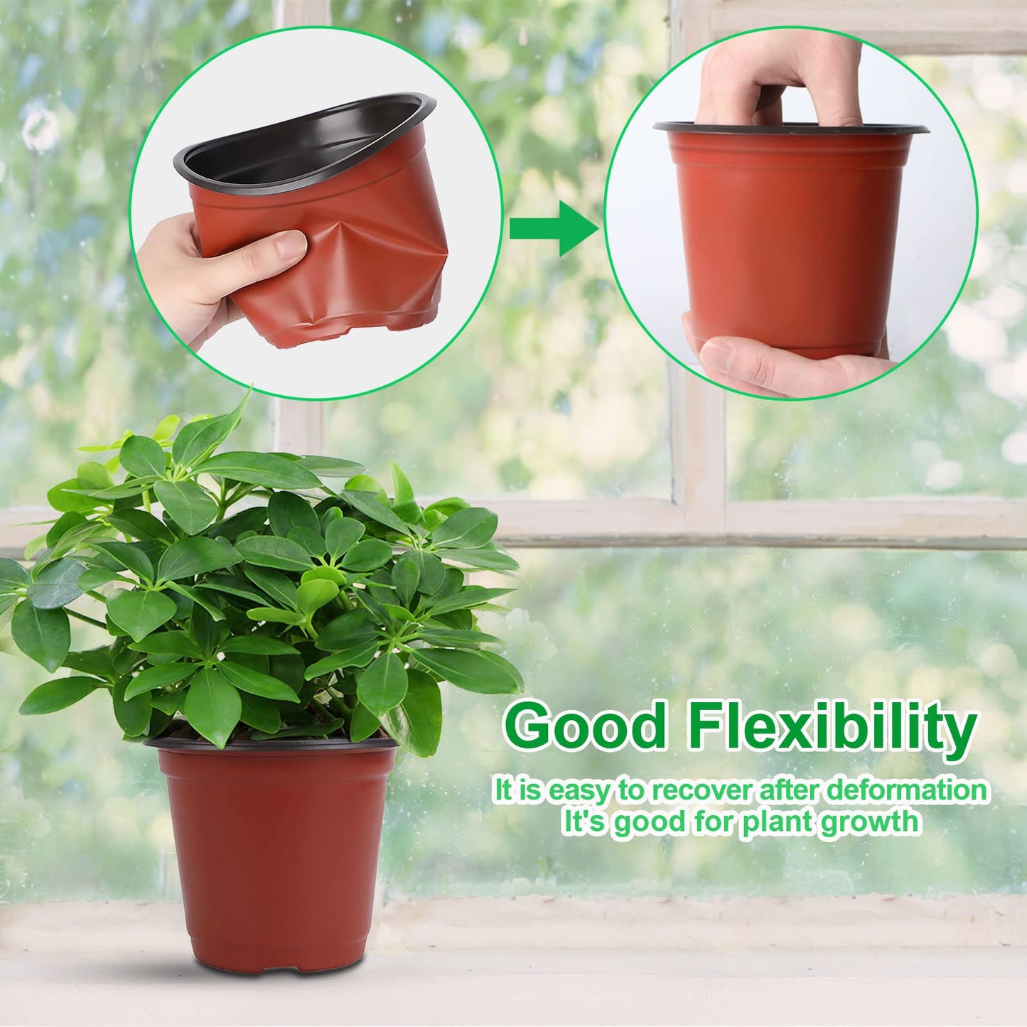 Augshy 40 Pcs 6" Plastic Plant Nursery Seed Starting Pots for Indoor Outdoor Succulent Seedling Cutting Transplanting