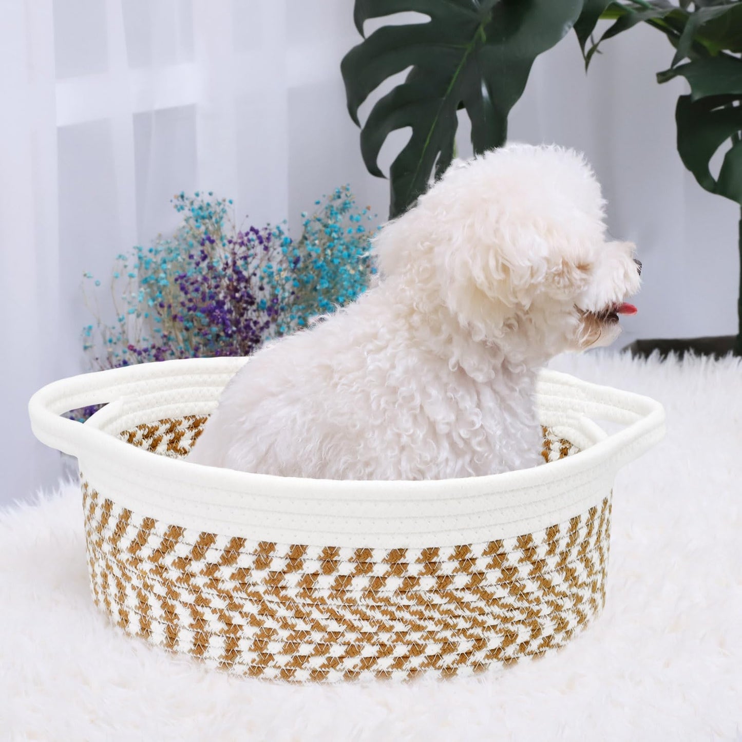 ABenkle Small Basket, 12"x 8" x 5" Cute Small Woven Basket, Rope Room Shelf Storage Basket, Cat Dog Toys Basket Chest Box, Decorative Empty Gift Basket with Handles