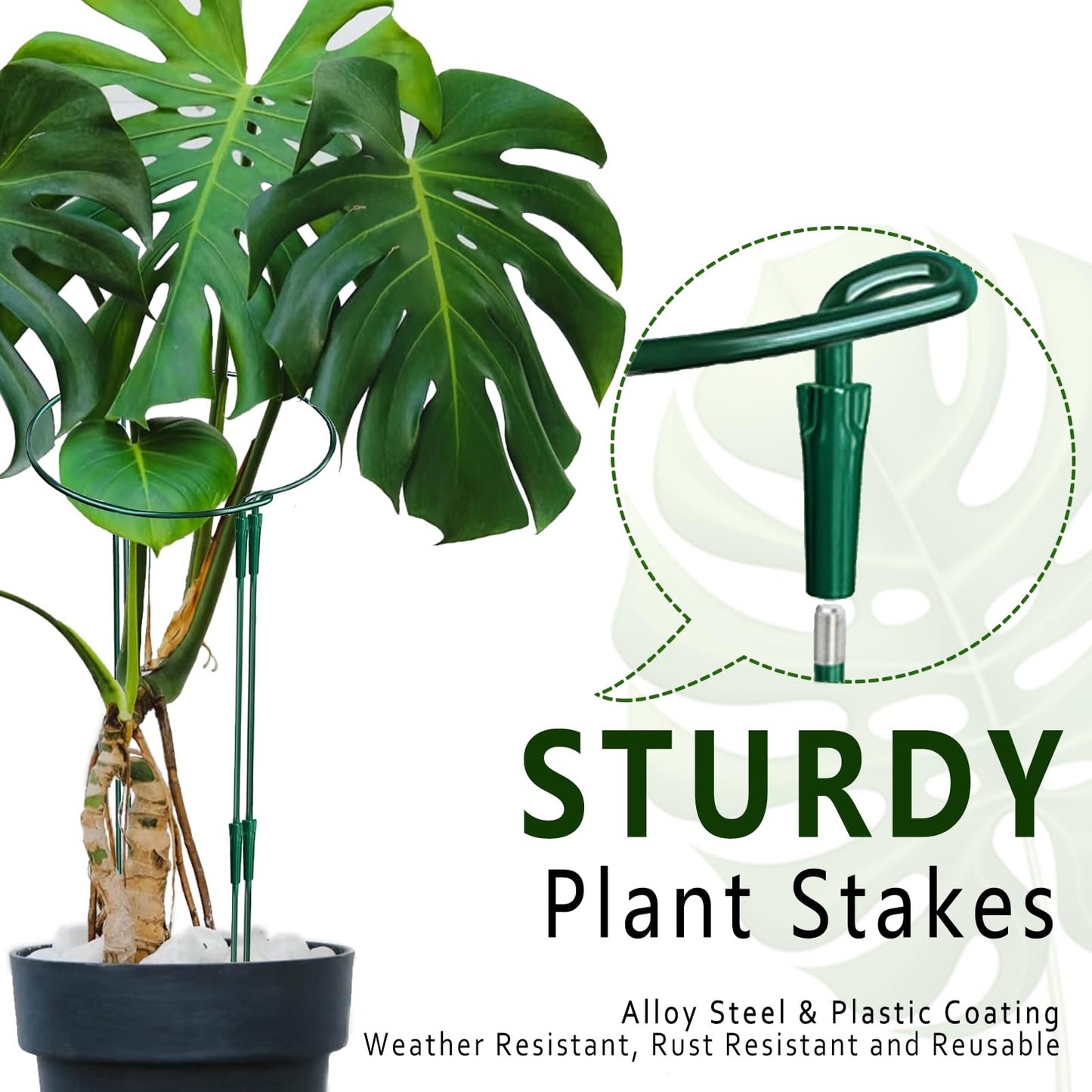 6 Pack Threaded Lock Metal Plant Support Stakes - 25" H Tall Peony Cage, Reusable Detachable Garden Ring for Hydrangea/Rose Bush/Potted Flowers, Indoor Outdoor Heavy Duty (10" W)