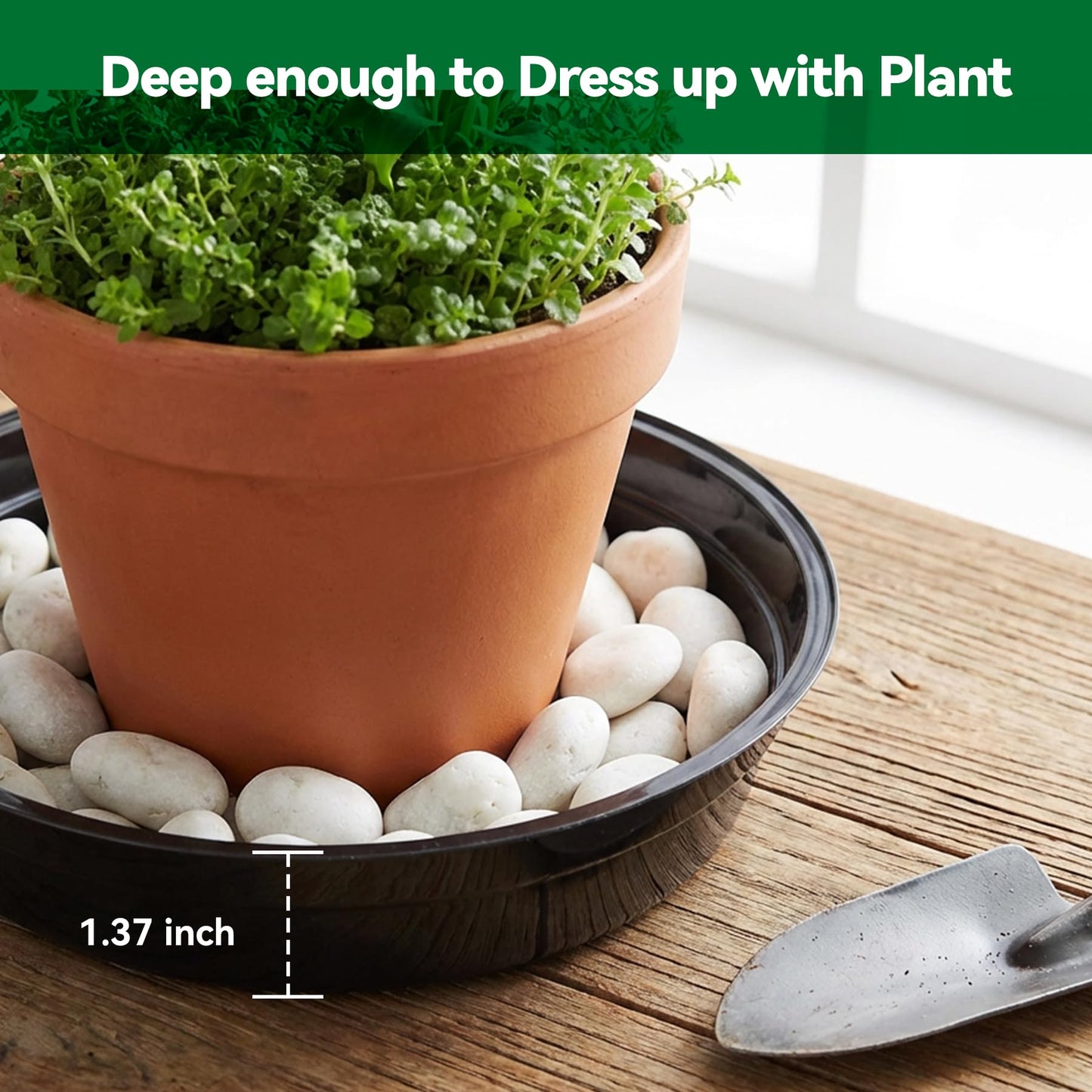 TRUEDAYS 20 Pack Black Plant Saucers – 4 Sizes (6"/8"/10"/12") Plastic Flower Pot Trays for Indoor & Outdoor Plants, Drip Trays to Protect Floors & Surfaces