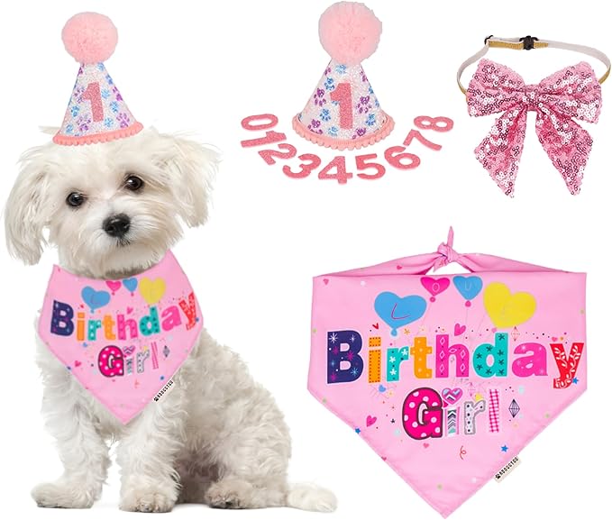 ADOGGYGO Dog Birthday Hat, Pink Birthday Girl Bandana Set, Small