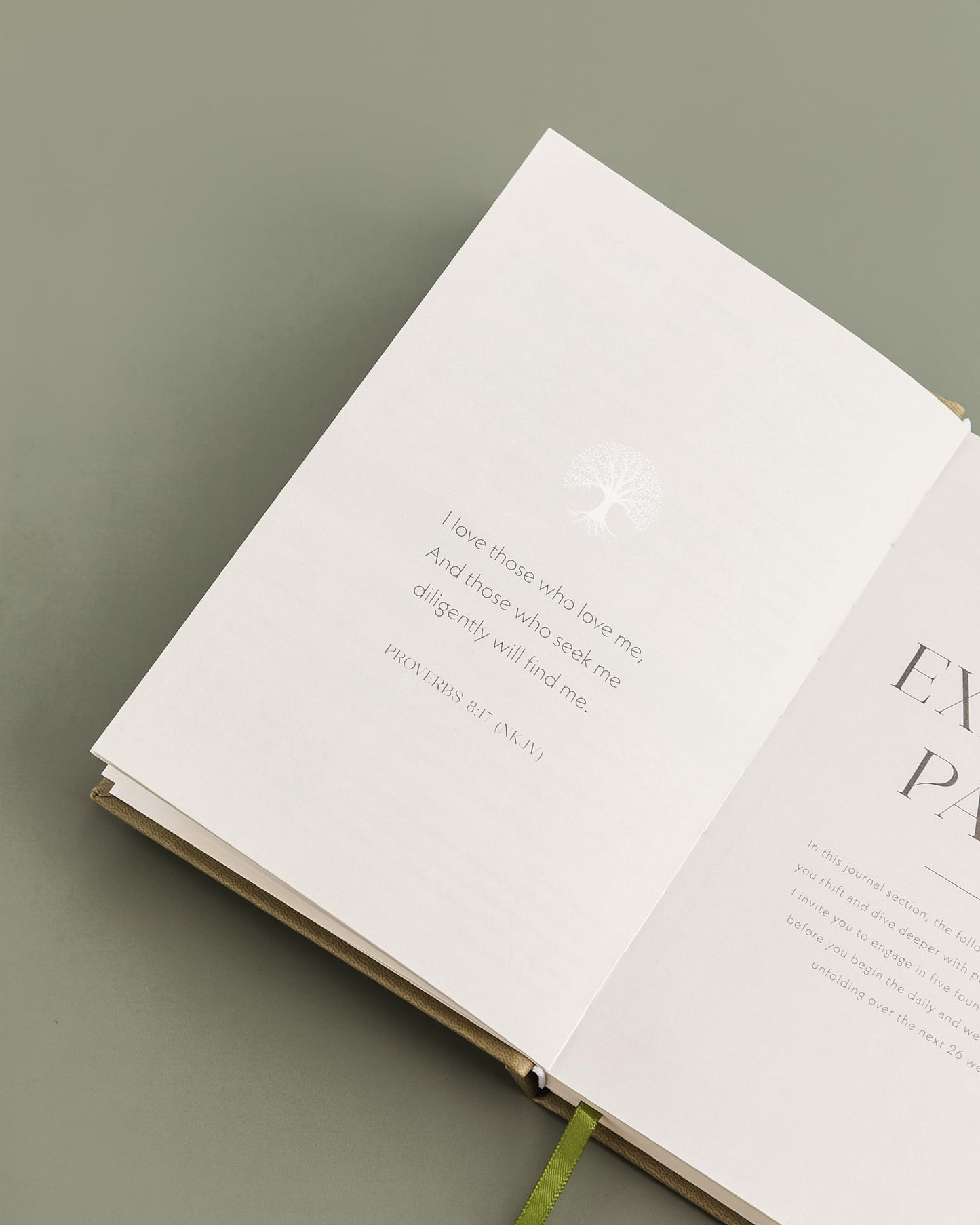 Heavenly Finds Daily Prayer Journal for Woman - 6 Months, Bible Journal with Weekly Scripture - Guided Bible Verse Mapping - Devotional with Prayer Exercises - Spiritual Gift for Woman
