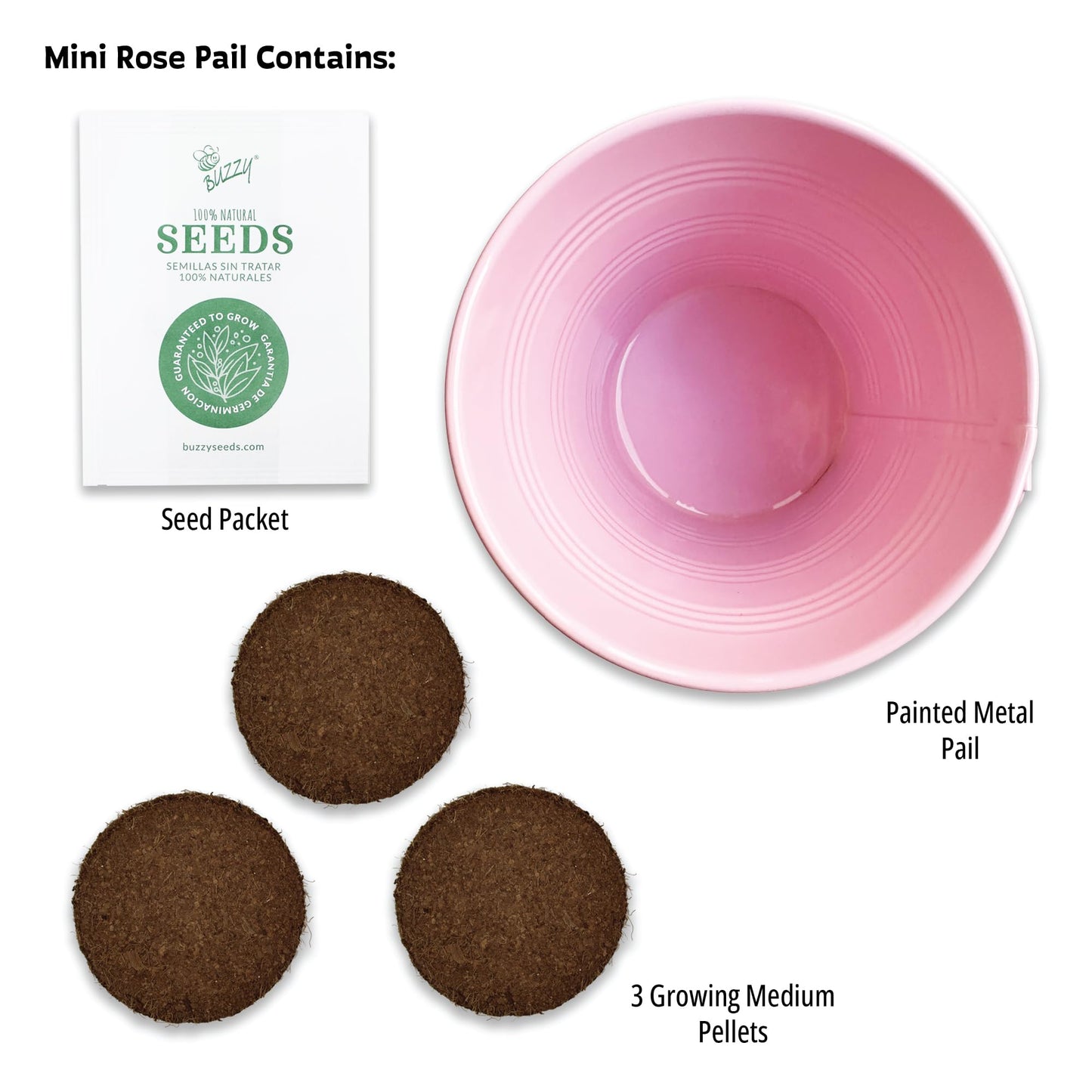 BUZZY Seeds Love Pails Grow Kit, 2-Pack – Valentine’s Day Mini Garden Gift with Colorful Pails, Mini Rose & Lavender Seeds, Growing Medium Included, Indoor Starter Seed Kit