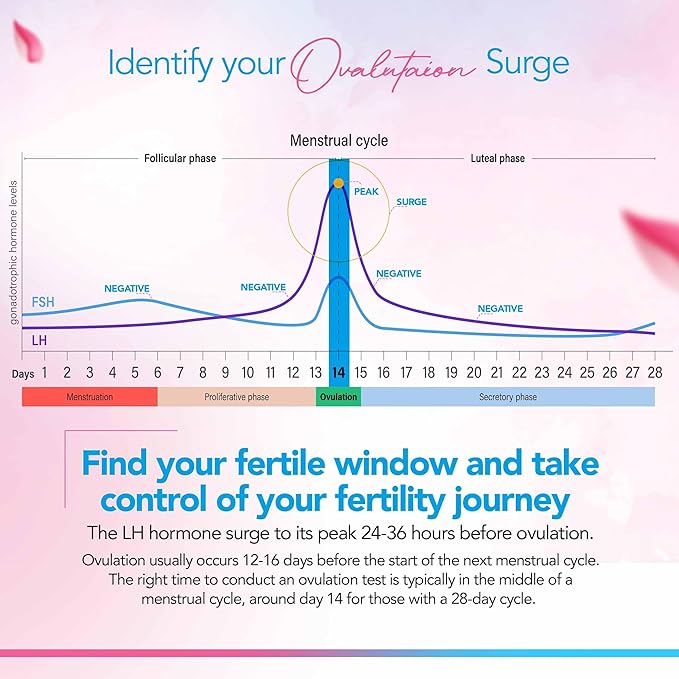Clinical Guard 25 Ovulation Test Strips and 5 Pregnancy Test Strip Fertility Kit and Early Pregnancy Detection OPK LH HCG Combo Pack