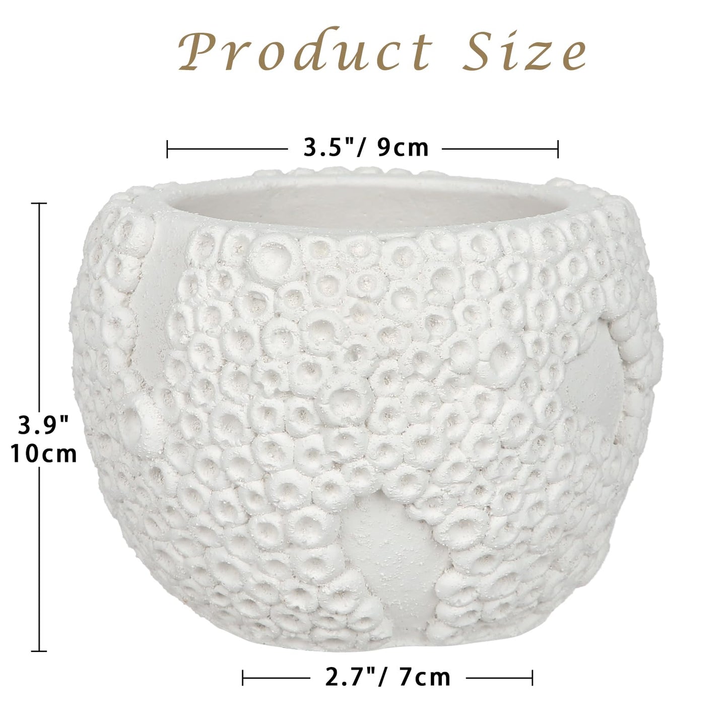Small Ceramic Bonsai Pot with Drainage Hole, 4 Inch Decorative Bonsai Planter Pot with 3D Coral Texture, Small Ceramic Pots for Plants, Succulents, Cactus, Herbs, Mini Bonzai Tree, Flower Pot, White