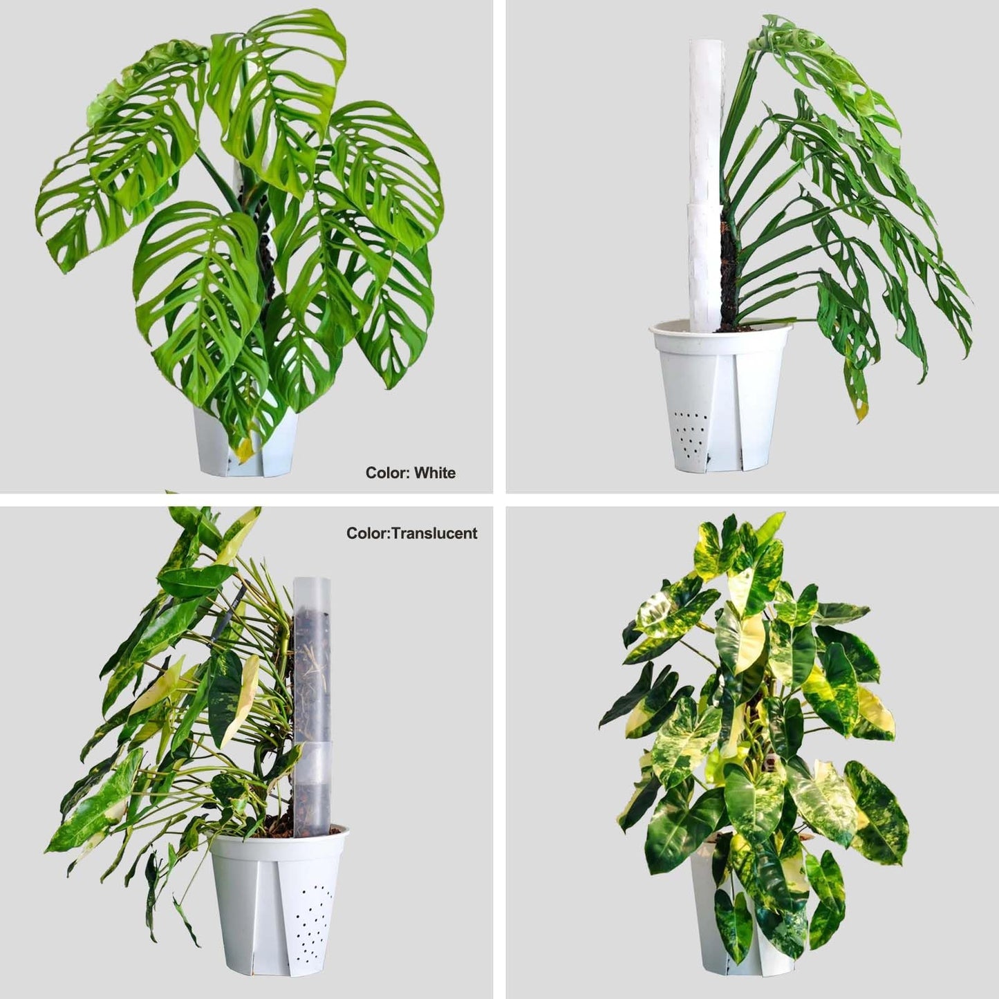 Haispring 8 Pcs 17 Inch Plastic Moss Pole for Plants Monstera,Designed Specifically for Climbing Plants, Stackable Plant Support for Indoor Plants