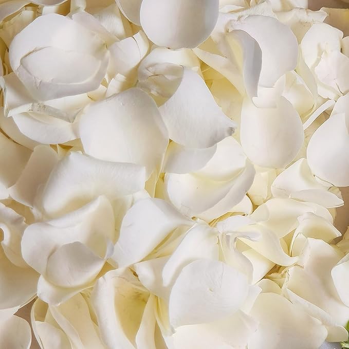 180Pcs Dried Real White Rose Petals, Freeze Preserved Flower Petals 1.75oz for Gifts Wedding Party Decor, Dinner Table Centerpieces, Bridal Shower,Confetti