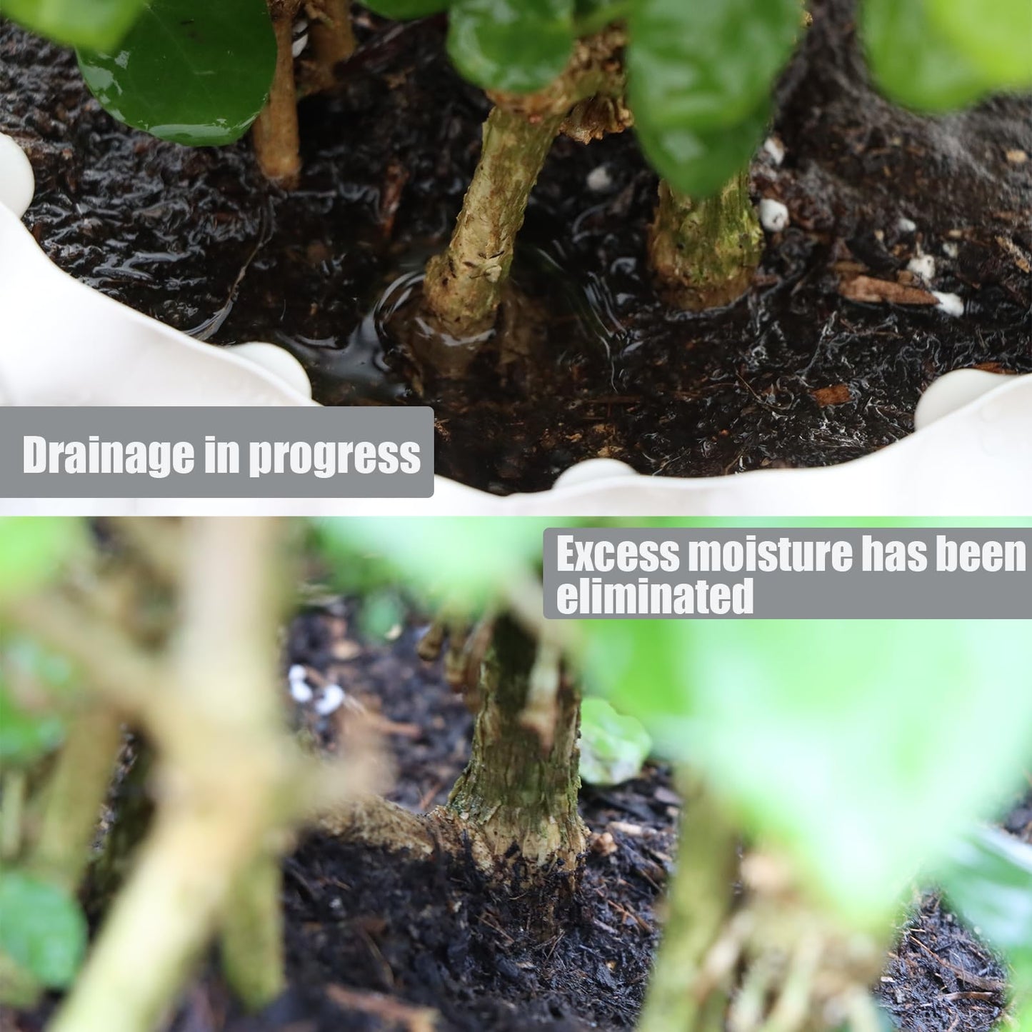 Plant air pruning pot, honeycomb porous structure design, improve root system development, prevent decay, suitable for flowers/vegetables/seedlings, farm planting solutions (Black, 8inches-3G-6P)