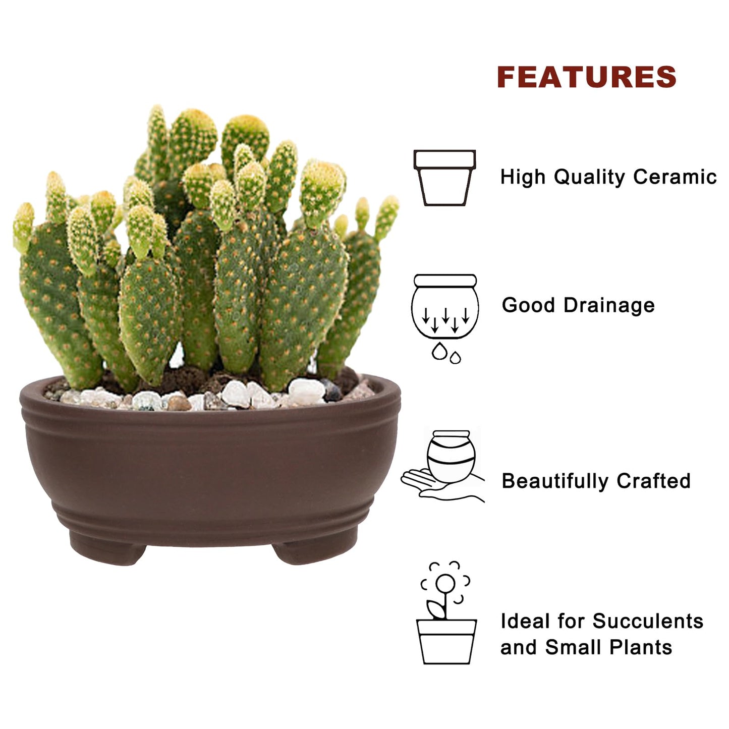 Bonsai Planter 2 pc 3.0" + 4.1" Unglazed Round Ceramic Succulent Pots Set