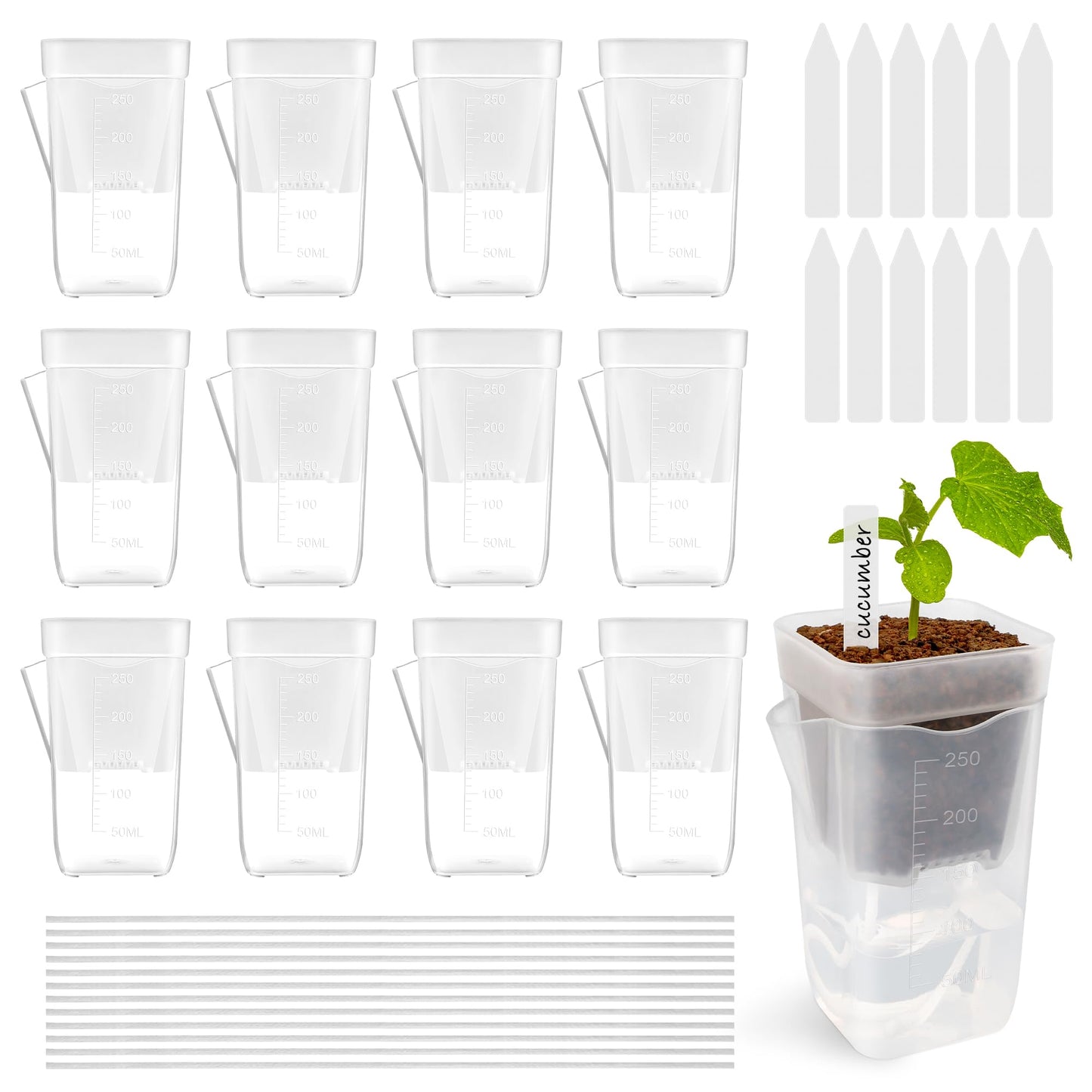 Anglecai 12 Pack Mini Self Watering Pots Set for Indoor Plants, 2.5" Small Clear Self Watering Planters with Watering Holes Plastic Flower Pot with 12 Labels, 12 Ropes