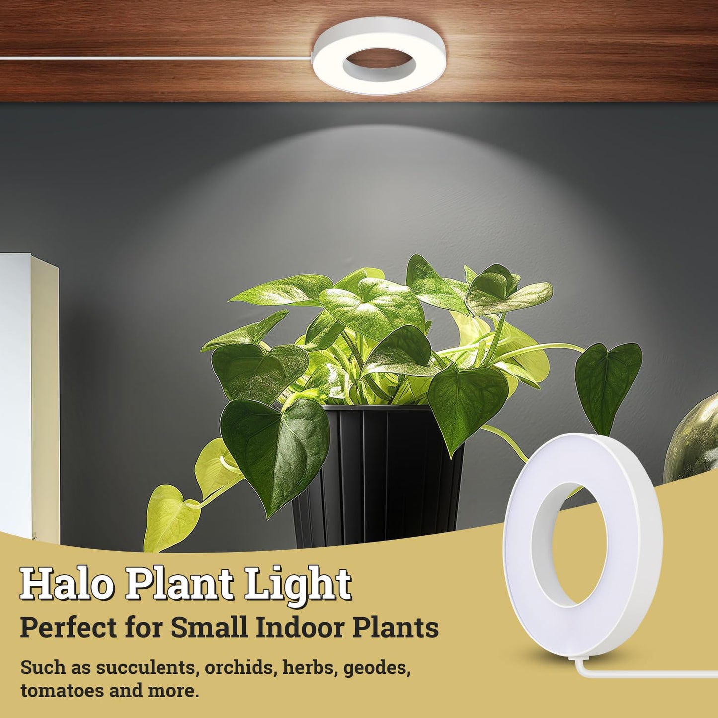 SIYOMG Ceiling Grow Lights for Indoor Plants, 144 LEDs Full Spectrum Halo LED Plant Light, with 3/9/12H Auto Timer Switch, 3 Colors,10 Dimming, Plant Lights for Small Plants, 3 Head