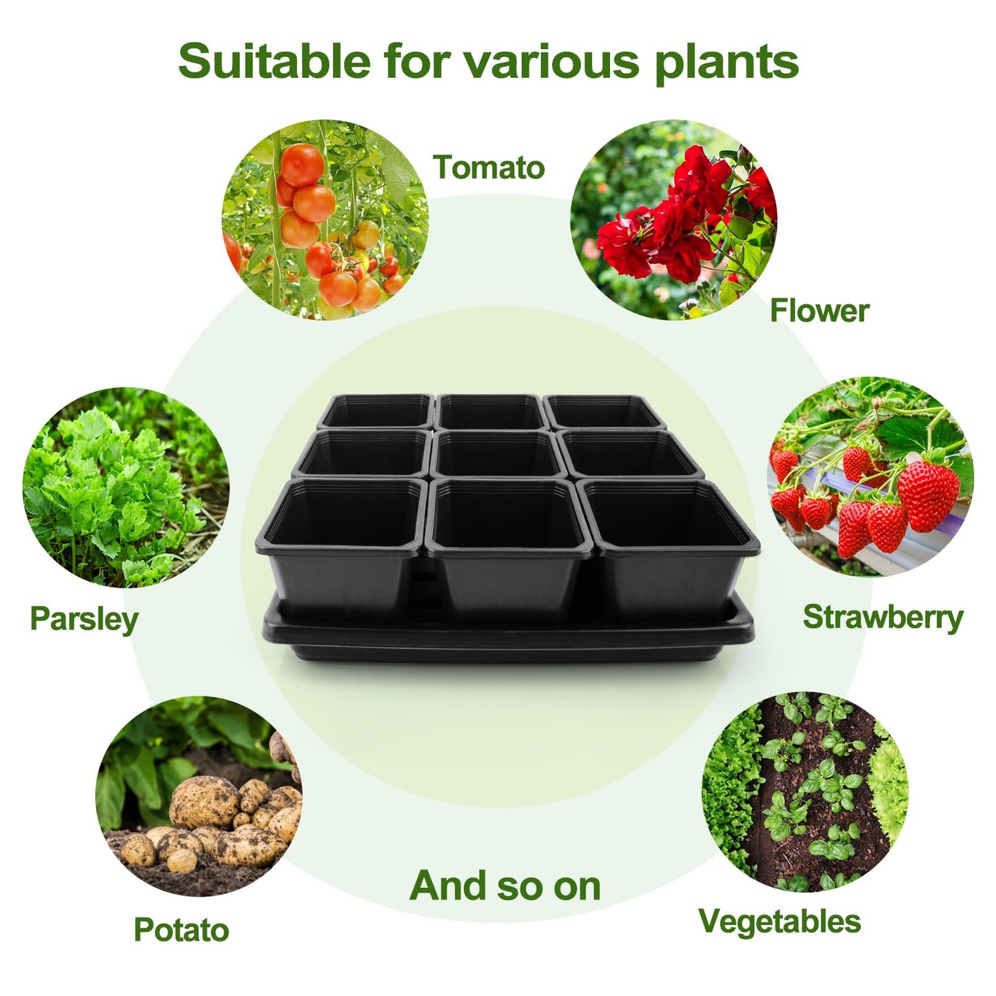 Mlhezy 50Pcs 3.5inch Square Nursery Pots with 5Pcs Seed Starting Trays, Seed Starter Tray Kit, Seeds Starting Germination, Seeding Pots with Drain Holes, Small Plant Nursery Propagation