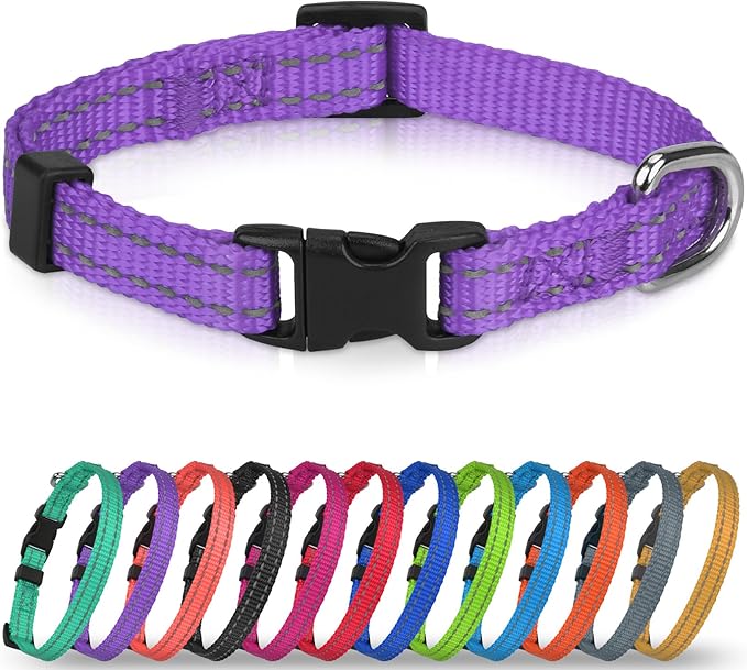 Joytale Feather-Light Dog Collar for Medium & Large Dogs, 1", Red