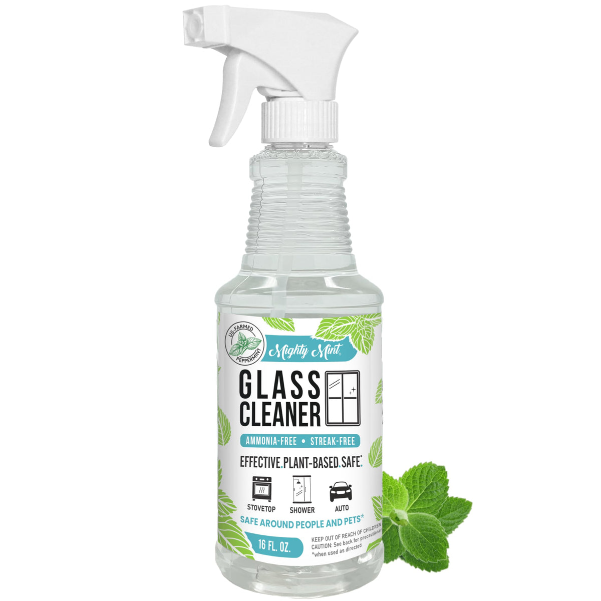 Glass Cleaner (16 Fl Oz)