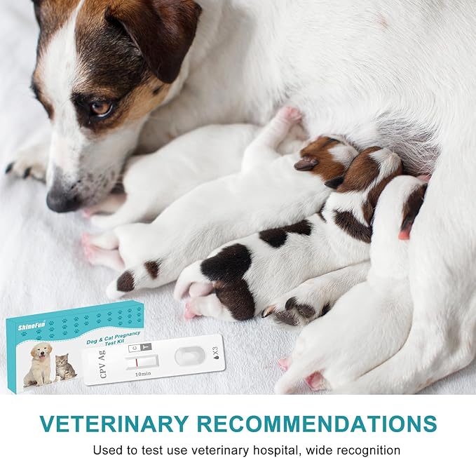 Dog & Cat Pregnancy Test Kit - 98.8% Accurate Urine Test, 2-Count with 10-Minute Results for Early Detection