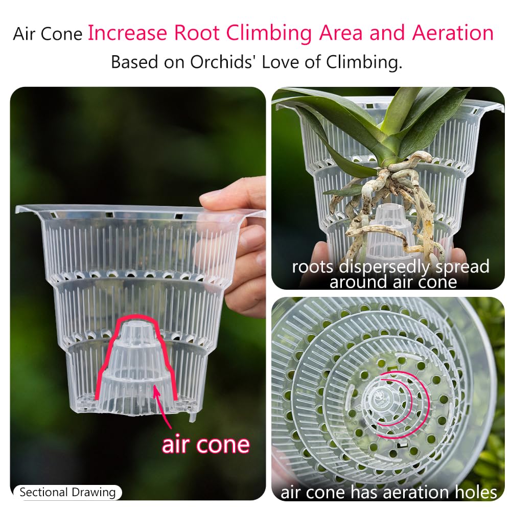 Meshpot 4 inch Clear Orchid Pots with Holes and Saucers for Repotting,Pack of 4,Small Plastic Orchid Planters Provide Good Air Circulation,Nursery Pots for Succulents,Herbs,Aloes,Mint
