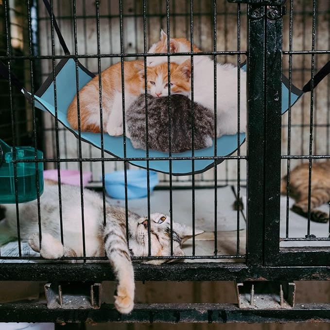 zhuohai Cat Hammock for Cage Hanging，Breathable Coolness Hammock Bed for cat Small Animal