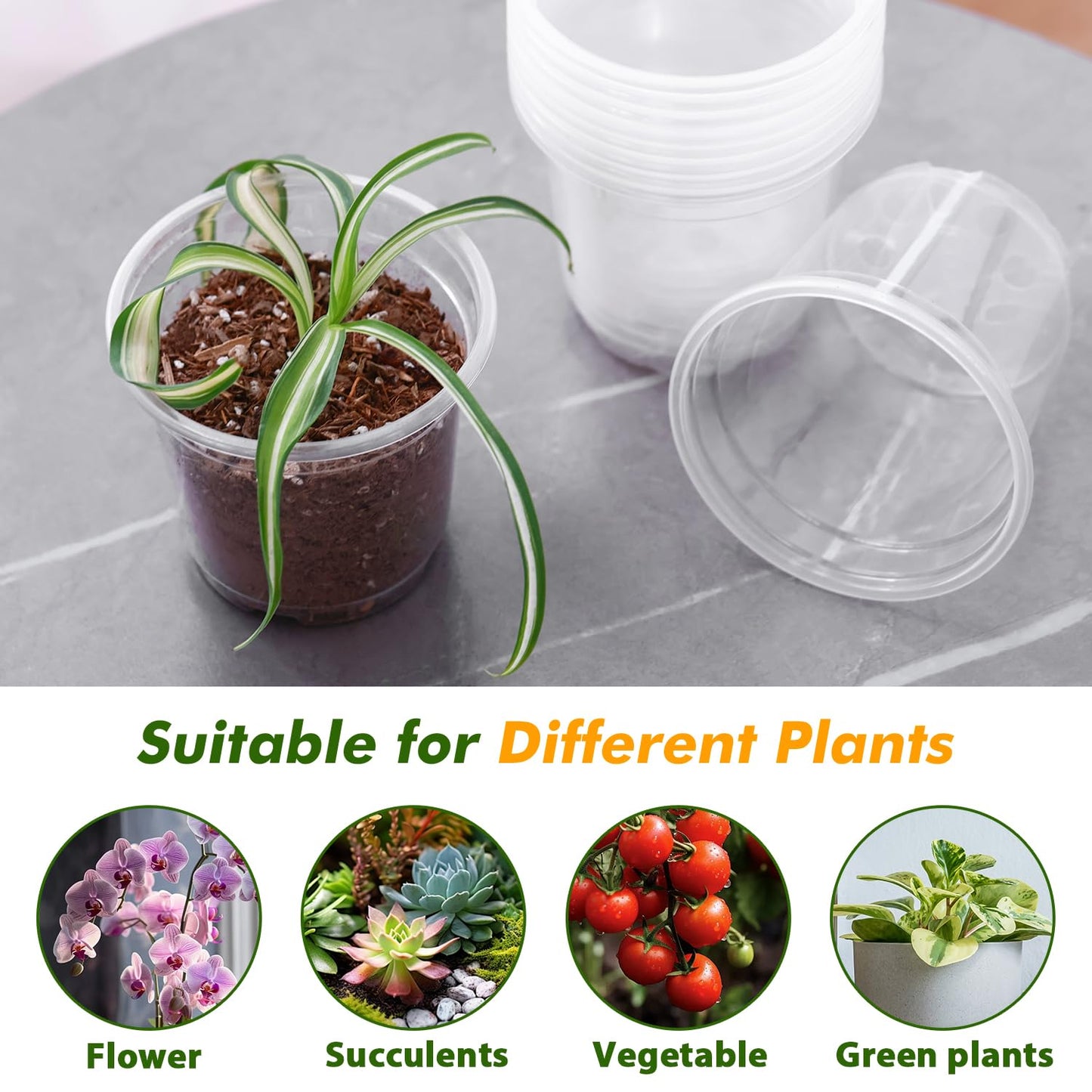 60 Pcs Clear Nursery Pots with Drainage Indoor 4 5 6 Inch Nursery Pot with Drainage Holes Plastic Seedling Pots for Plants, Plant Starter Pot with Holes Clear Plastic Planter for Indoor Plants