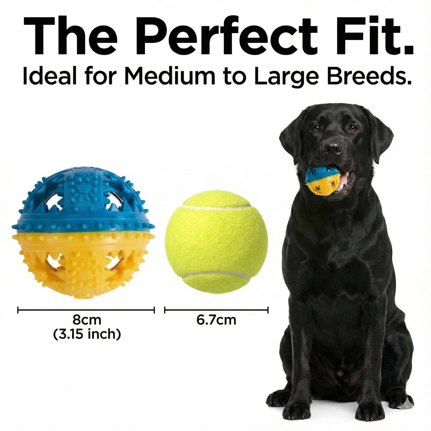 Argoswags Spiky Dog Ball with Internal Bell - Rigid TPR Durable Fetch Toy - Squeakless Rattle Sound - Hard Textured Dental Surface for Teeth Cleaning & Medium Large Breeds (3-Versions-in-1)