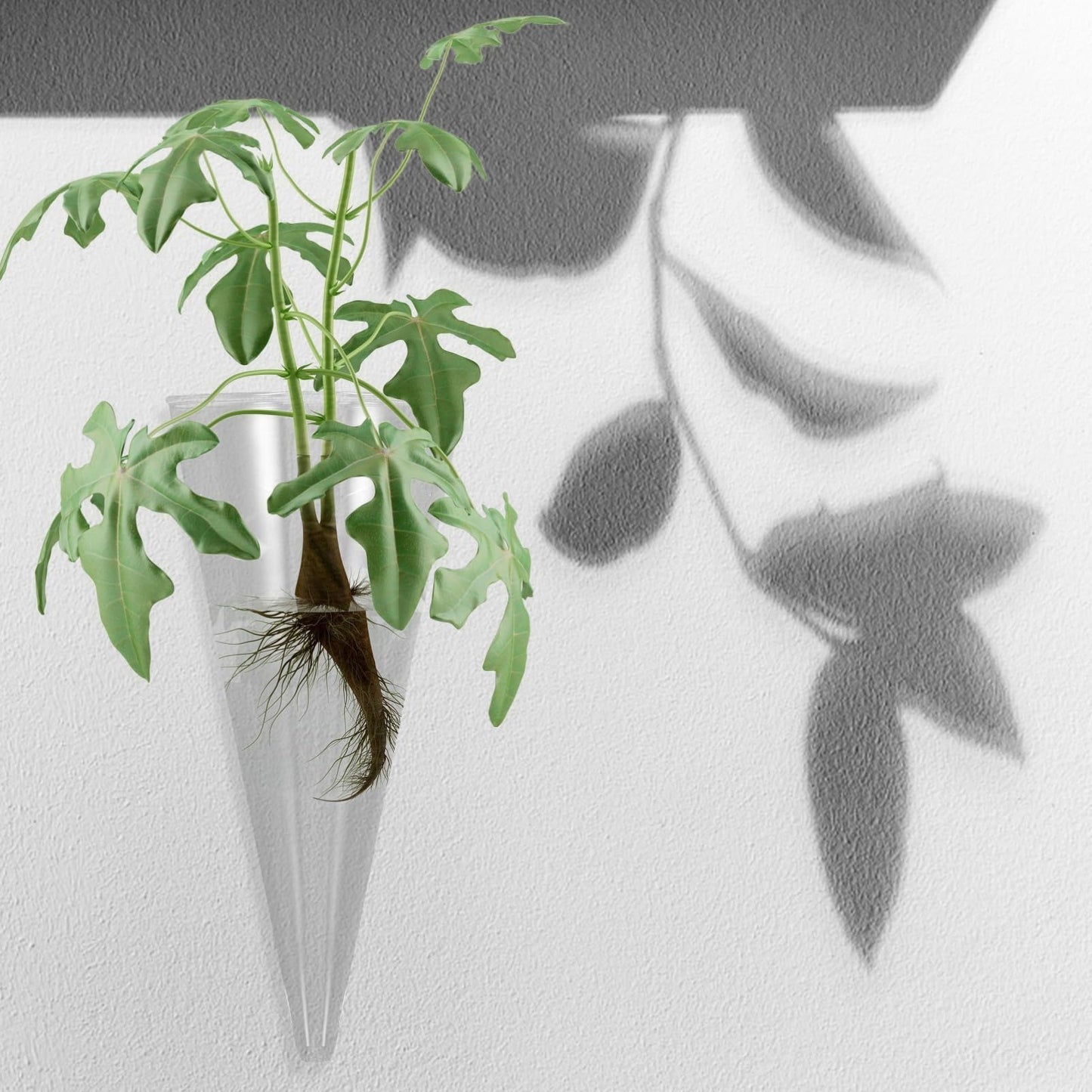 LIFKOME Wall Mounted Glass Shape Vase for Hydroponic Plants Creative Wall Hanging Planter Container Glass Terrarium for Indoor Decoration for Decor