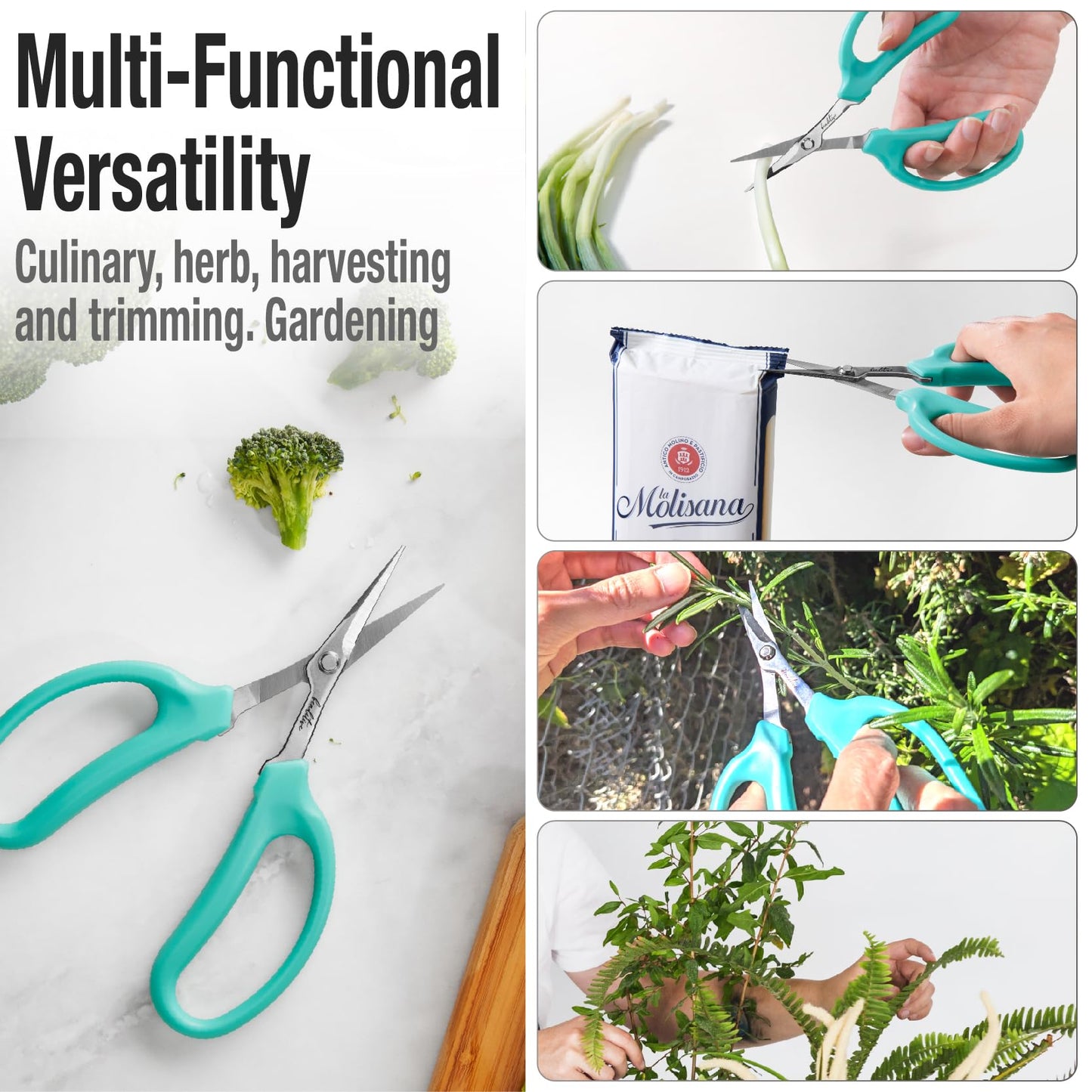 Beaditive Culinary Herb Scissors - Compact 6.5-Inch Stainless Steel Kitchen Scissors - Dishwasher Safe - Sharp Tip for Snipping Fresh Herbs