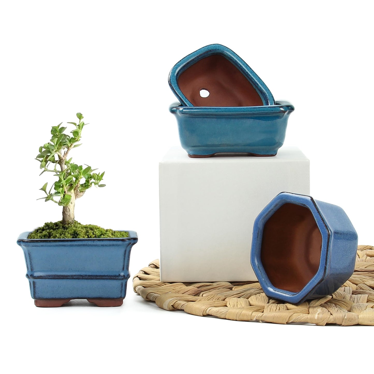 Bonsai Planter Succulent Mini Glazed Pots Value Set of 4, with 4 Soft Mesh Drainage Screens
