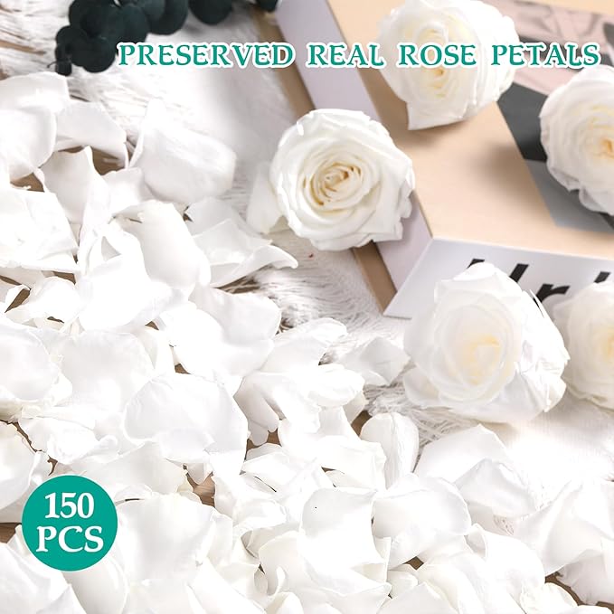 Dried Real Rose Petals, Natural Preserved Dry Flower Petals for Wedding Party Dinner Table Decor, Romantic Night for Her Set, Engagement, Bridal Shower, Valentine's Day, Confetti (1.6oz, White)