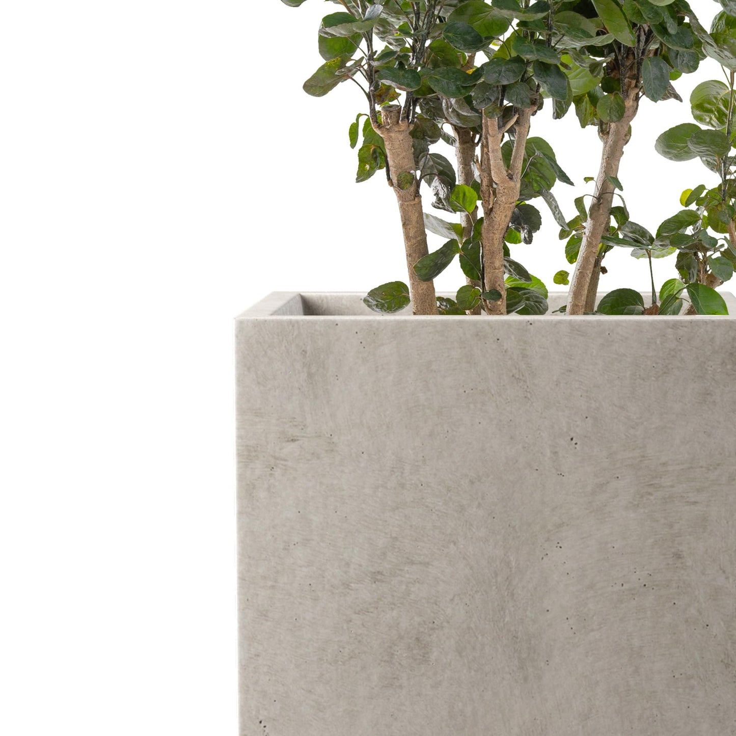 Kante 15.7" H Tall Rectangular Concrete Planters, Outdoor Indoor Lightweight Plant Pots with Drainage Hole and Rubber Plug, Modern Style for Home Garden Patio, Weathered Concrete