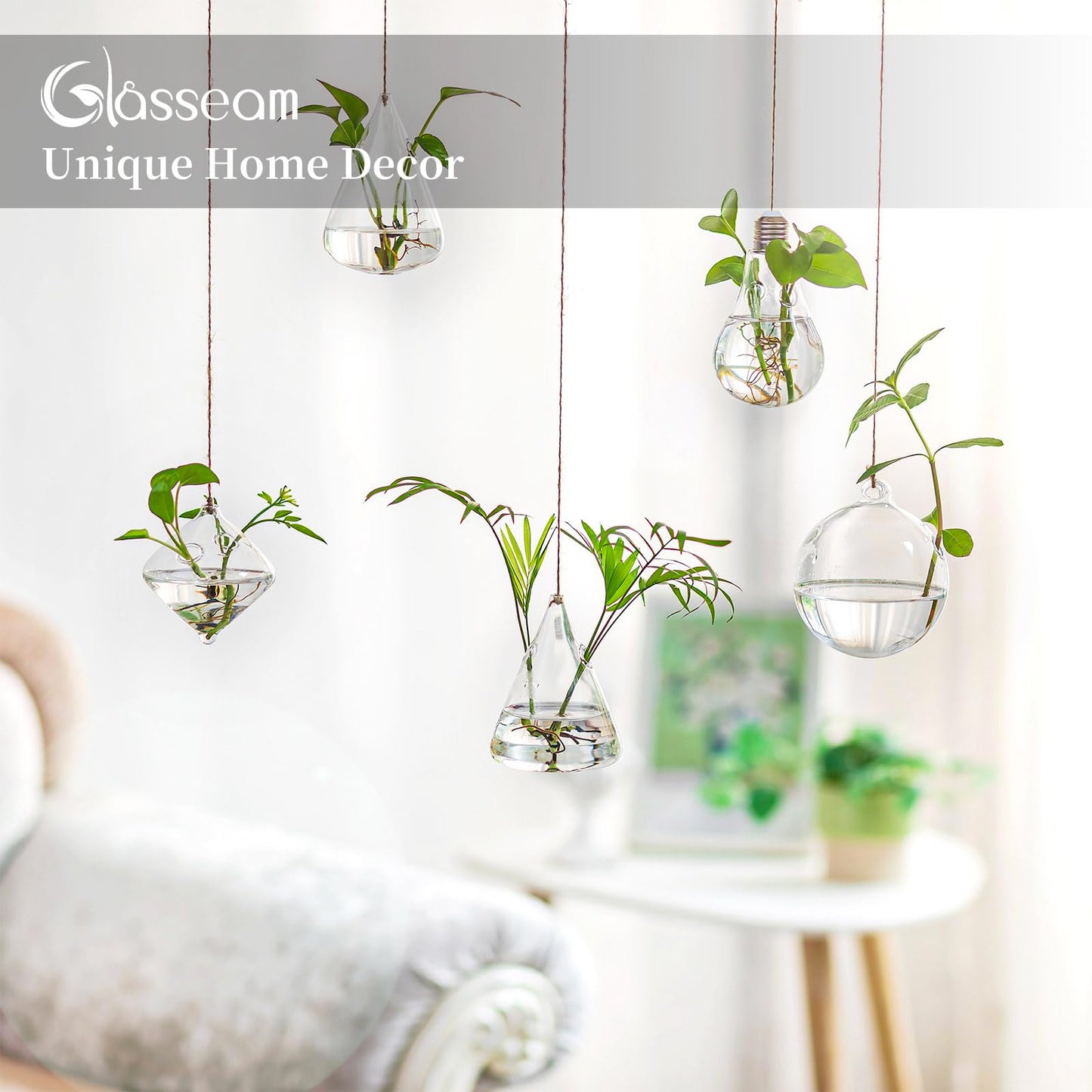 Glasseam Hanging Planters Glass Terrarium: 5Pcs Modern Plant Propagation Stations Hydroponic Wall Vases for Air Plants Flowers Indoor Window Home Decor