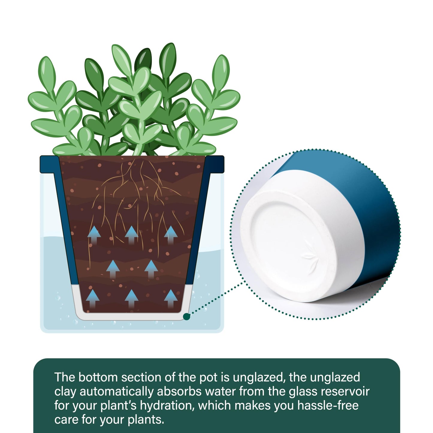 D'vine Dev 4 Inch Design Self Watering Planter for Indoor Plants, Blue Terracotta Pot with Cylinder Glass Cup, Set of 2, 37-Y-A-4