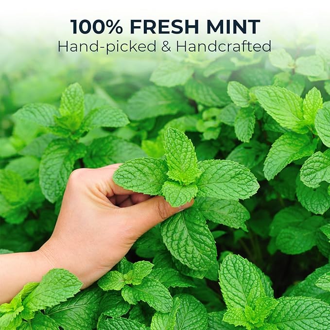 Peppermint Tea Bags - 15 Count, Mini Tea Samplers, Bamboo Tong Included, Re-Steep Herbal Tea, Cool Fresh Breath, Warm Heat, Stomach Relief, Relax, Support