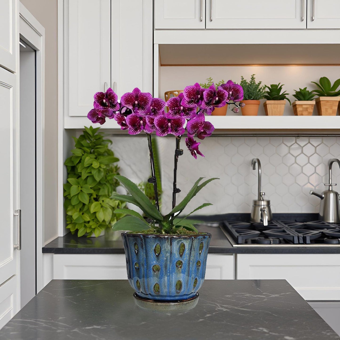 Grdthzey 6 inch Round Ceramic Orchid Pot with Holes Orchid Planter (Dark Blue)